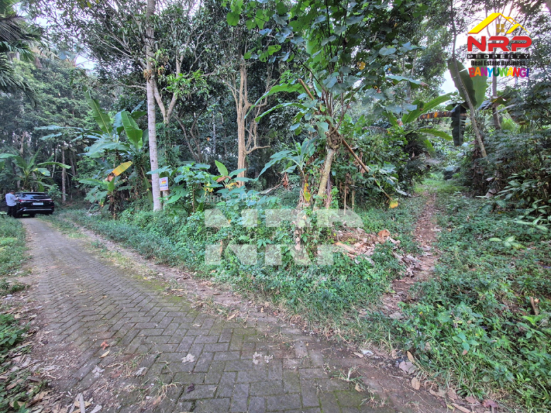 Dijual Tanah Kebun Murah 100 Jutaan di Desa Jelun, Glagah - Banyuwangi  Dijual Tanah Kebun Murah 100 Jutaan di Desa Jelun, Glagah - Banyuwangi  Dijual Tanah Kebun Murah 100 Jutaan di Desa Jelun, Glagah - Banyuwangi&nbsp;
Lokasi asri, cocok untuk investasi maupun usaha perkebunan&nbsp;

Luas Tanah : NRP BANYUWANGI