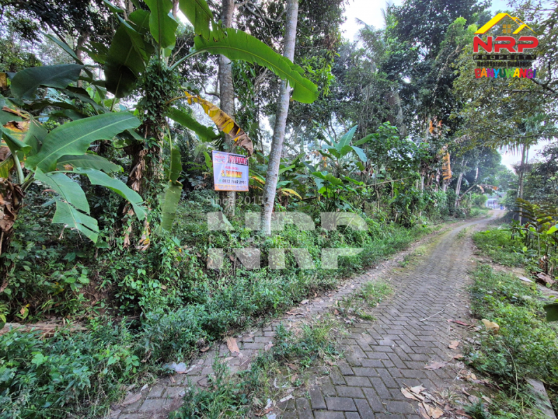 Dijual Tanah Kebun Murah 100 Jutaan di Desa Jelun, Glagah - Banyuwangi  Dijual Tanah Kebun Murah 100 Jutaan di Desa Jelun, Glagah - Banyuwangi  Dijual Tanah Kebun Murah 100 Jutaan di Desa Jelun, Glagah - Banyuwangi&nbsp;
Lokasi asri, cocok untuk investasi maupun usaha perkebunan&nbsp;

Luas Tanah : NRP BANYUWANGI