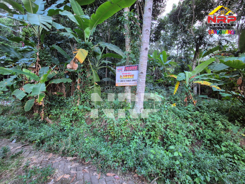 Dijual Tanah Kebun Murah 100 Jutaan di Desa Jelun, Glagah - Banyuwangi  Dijual Tanah Kebun Murah 100 Jutaan di Desa Jelun, Glagah - Banyuwangi  Dijual Tanah Kebun Murah 100 Jutaan di Desa Jelun, Glagah - Banyuwangi&nbsp;
Lokasi asri, cocok untuk investasi maupun usaha perkebunan&nbsp;

Luas Tanah : NRP BANYUWANGI