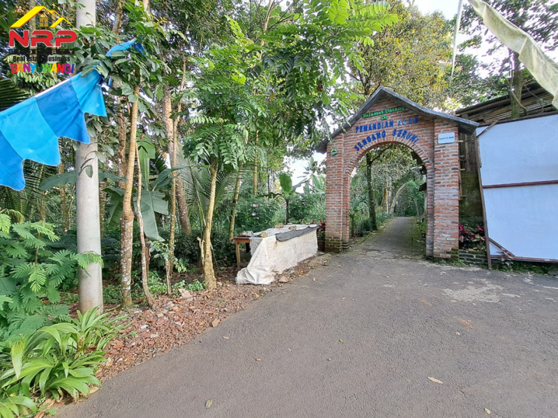 Dijual Tanah Kebun Murah di Kawasan Sendang Seruni, Tamansari - Licin   Dijual Tanah Kebun Murah di Kawasan Sendang Seruni, Tamansari - Licin   Dijual Tanah Kebun di Kawasan Sendang Seruni, Tamansari - Licin&nbsp;&nbsp;
Cocok untuk perkebunan atau investasi jangka panjang&nbsp;

Luas Tanah : 1.841 NRP BANYUWANGI