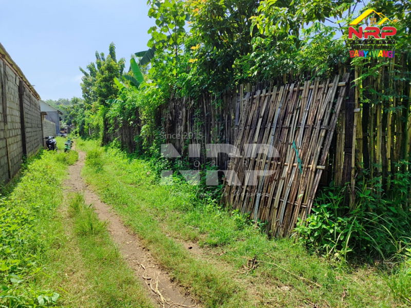 Dijual Tanah Kebun Produkti di Belakang Kantor Desa Gintangan - Banyuwangi  Dijual Tanah Kebun Produkti di Belakang Kantor Desa Gintangan - Banyuwangi  Dijual Tanah Kebun Produkti di Belakang Kantor Desa Gintangan - Banyuwangi&nbsp;
Cocok untuk investasi atau kebun pribadi&nbsp;

Luas Tanah 637 NRP BANYUWANGI