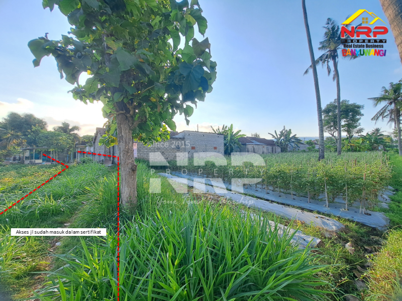 Dijual Tanah Kebun Produktif di Ketapang - Banyuwangi  Dijual Tanah Kebun Produktif di Ketapang - Banyuwangi  Dijual Tanah Kebun Produktif di Ketapang - Banyuwangi&nbsp;
Lokasi strategis dekat dengan Jalan Lingkar Ketapang, Berada di kawasan industri
View rel kereta NRP BANYUWANGI
