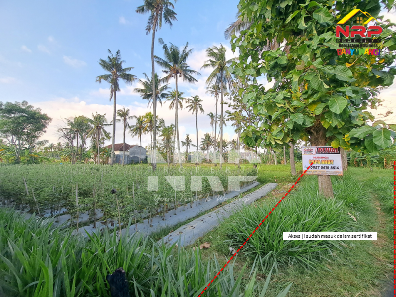 Dijual Tanah Kebun Produktif di Ketapang - Banyuwangi  Dijual Tanah Kebun Produktif di Ketapang - Banyuwangi  Dijual Tanah Kebun Produktif di Ketapang - Banyuwangi&nbsp;
Lokasi strategis dekat dengan Jalan Lingkar Ketapang, Berada di kawasan industri
View rel kereta NRP BANYUWANGI