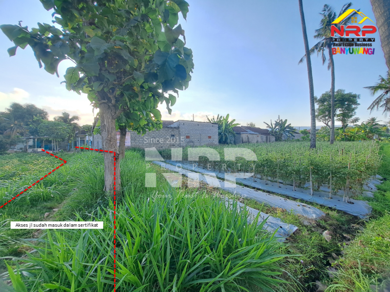 Dijual Tanah Kebun Produktif di Ketapang - Banyuwangi  Dijual Tanah Kebun Produktif di Ketapang - Banyuwangi  Dijual Tanah Kebun Produktif di Ketapang - Banyuwangi&nbsp;
Lokasi strategis dekat dengan Jalan Lingkar Ketapang, Berada di kawasan industri
View rel kereta NRP BANYUWANGI