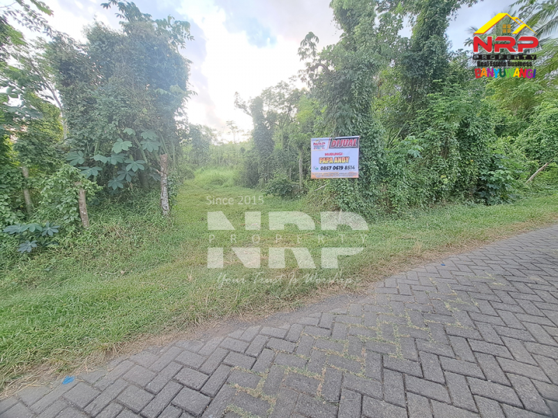 Dijual Tanah Kebun Produktif di Pendarungan - Banyuwangi  Dijual Tanah Kebun Produktif di Pendarungan - Banyuwangi  Dijual Tanah Kebun Produktif di Pendarungan - Banyuwangi&nbsp;
Harga murah, Akses jalan paving roda 4

Luas Tanah : 7.359 NRP BANYUWANGI