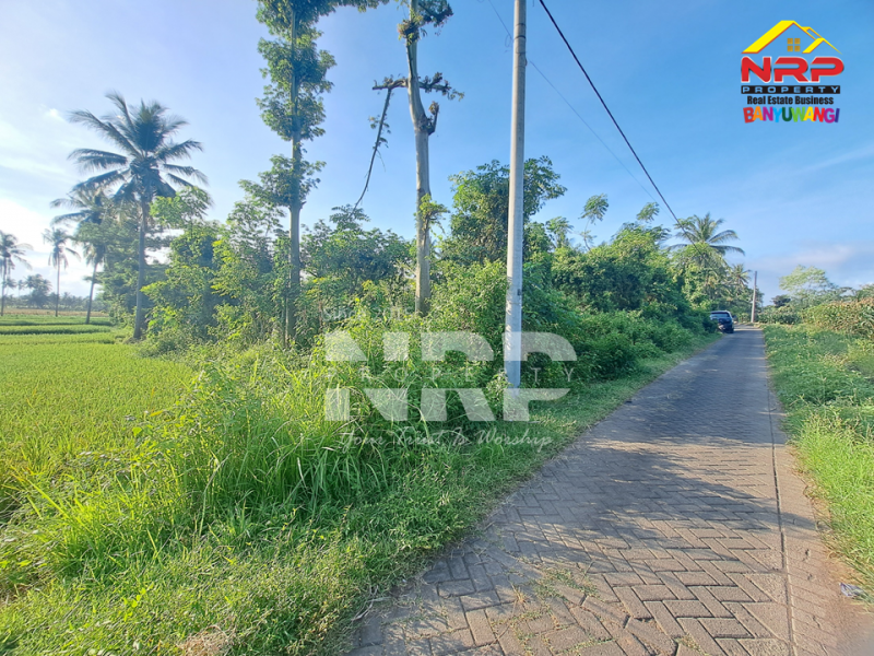 Dijual Tanah Kebun Produktif di Pendarungan - Banyuwangi  Dijual Tanah Kebun Produktif di Pendarungan - Banyuwangi  Dijual Tanah Kebun Produktif di Pendarungan - Banyuwangi&nbsp;
Harga murah, Akses jalan paving roda 4

Luas Tanah : 7.359 NRP BANYUWANGI