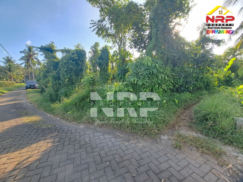 Dijual Tanah Kebun Produktif di Pendarungan - Banyuwangi  Dijual Tanah Kebun Produktif di Pendarungan - Banyuwangi  Dijual Tanah Kebun Produktif di Pendarungan - Banyuwangi&nbsp;
Harga murah, Akses jalan paving roda 4

Luas Tanah : 7.359 NRP BANYUWANGI