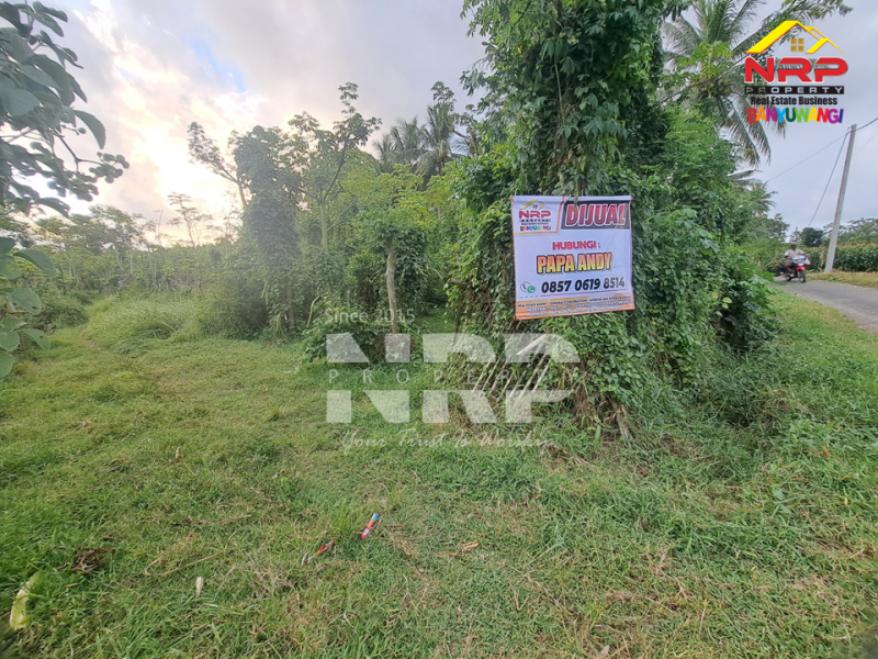 Dijual Tanah Kebun Produktif di Pendarungan - Banyuwangi  Dijual Tanah Kebun Produktif di Pendarungan - Banyuwangi  Dijual Tanah Kebun Produktif di Pendarungan - Banyuwangi&nbsp;
Harga murah, Akses jalan paving roda 4

Luas Tanah : 7.359 NRP BANYUWANGI