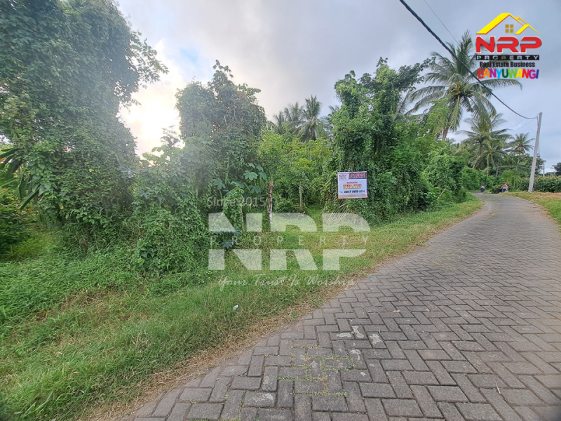 Dijual Tanah Kebun Produktif di Pendarungan - Banyuwangi  Dijual Tanah Kebun Produktif di Pendarungan - Banyuwangi  Dijual Tanah Kebun Produktif di Pendarungan - Banyuwangi&nbsp;
Harga murah, Akses jalan paving roda 4

Luas Tanah : 7.359 NRP BANYUWANGI