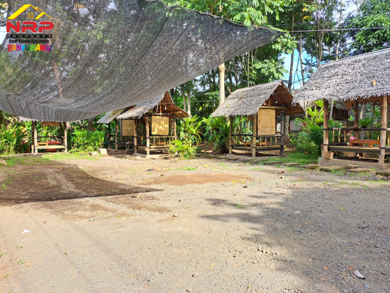 Dijual Tanah Kebun Produktif  di tepi Jln. Raya Ijen - Banyuwangi Dijual Tanah Kebun Produktif  di tepi Jln. Raya Ijen - Banyuwangi Dijual Tanah Kebun Produktif&nbsp; di tepi Jln. Raya Ijen - Banyuwangi
Terletak di kawasan wisata&nbsp; Akbar Zoo Banyuwangi.
Cocok untuk hotel, NRP BANYUWANGI