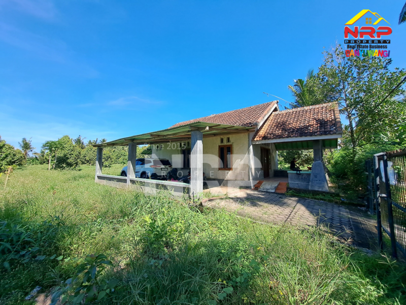 Dijual Tanah Kebun + Rumah singgah di Belakang Hotel Kokoon - Banyuwangi  Dijual Tanah Kebun + Rumah singgah di Belakang Hotel Kokoon - Banyuwangi  Dijual Tanah Kebun + Rumah singgah di Belakang Hotel Kokoon - Banyuwangi&nbsp;
Lokasi 500 Meter dari Jl. Provinsi, Dadapan&nbsp;
Kawasan Hotel dan Wisata NRP BANYUWANGI