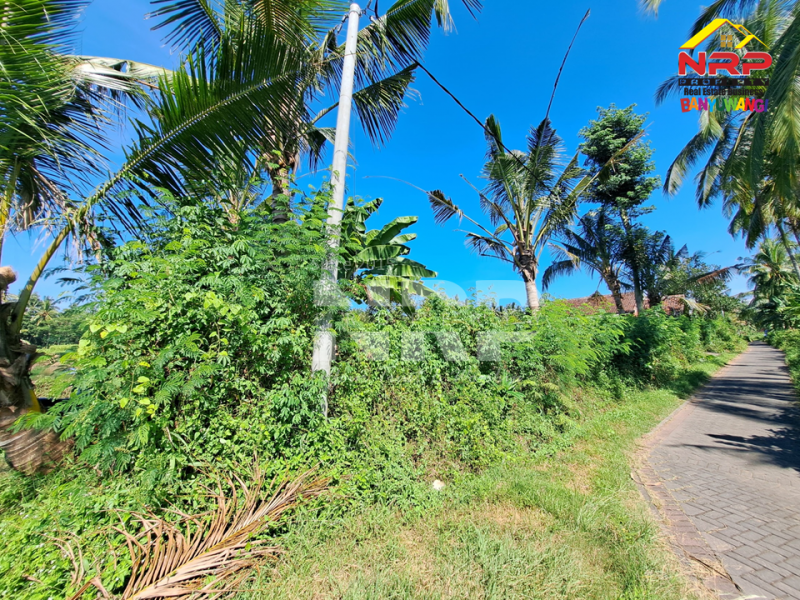 Dijual Tanah Kebun + Rumah singgah di Belakang Hotel Kokoon - Banyuwangi  Dijual Tanah Kebun + Rumah singgah di Belakang Hotel Kokoon - Banyuwangi  Dijual Tanah Kebun + Rumah singgah di Belakang Hotel Kokoon - Banyuwangi&nbsp;
Lokasi 500 Meter dari Jl. Provinsi, Dadapan&nbsp;
Kawasan Hotel dan Wisata NRP BANYUWANGI