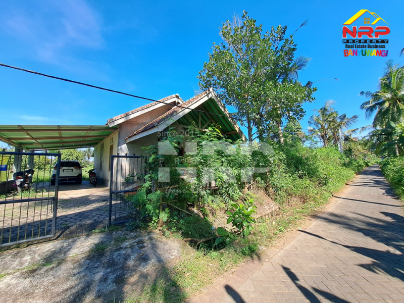Dijual Tanah Kebun + Rumah singgah di Belakang Hotel Kokoon - Banyuwangi  Dijual Tanah Kebun + Rumah singgah di Belakang Hotel Kokoon - Banyuwangi  Dijual Tanah Kebun + Rumah singgah di Belakang Hotel Kokoon - Banyuwangi&nbsp;
Lokasi 500 Meter dari Jl. Provinsi, Dadapan&nbsp;
Kawasan Hotel dan Wisata NRP BANYUWANGI