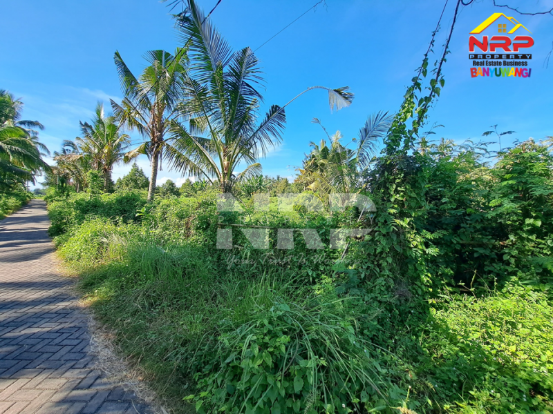 Dijual Tanah Kebun + Rumah singgah di Belakang Hotel Kokoon - Banyuwangi  Dijual Tanah Kebun + Rumah singgah di Belakang Hotel Kokoon - Banyuwangi  Dijual Tanah Kebun + Rumah singgah di Belakang Hotel Kokoon - Banyuwangi&nbsp;
Lokasi 500 Meter dari Jl. Provinsi, Dadapan&nbsp;
Kawasan Hotel dan Wisata NRP BANYUWANGI