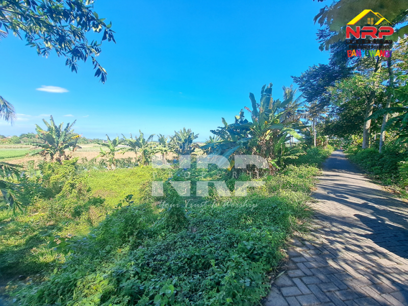 Dijual Tanah Kebun Sangat luas di Patoman - Blimbingsari Banyuwangi Dijual Tanah Kebun Sangat luas di Patoman - Blimbingsari Banyuwangi Dijual Tanah Kebun Sangat luas di Patoman - Blimbingsari Banyuwangi
Akses jalan paving, Cocok untuk usaha perkebunan, peternakan, atau pembukaan kawasan NRP BANYUWANGI