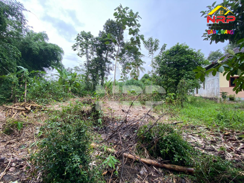 Dijual Tanah Kebun Sangat Murah di Desa Tegalrejo - Tegalsari  Dijual Tanah Kebun Sangat Murah di Desa Tegalrejo - Tegalsari  Dijual Tanah Kebun Sangat Murah di Desa Tegalrejo - Tegalsari&nbsp;
Berada dikawasan pedesaan, akses mobil.&nbsp;

Luas Tanah : 1.147 M2&nbsp;
SHM Proses NRP BANYUWANGI