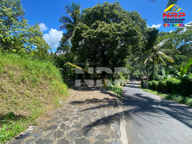 Dijual Tanah Kebun + Sawah Luas di  Licin - Banyuwangi  Dijual Tanah Kebun + Sawah Luas di  Licin - Banyuwangi  Dijual Tanah Kebun + Sawah Luas di&nbsp; Licin - Banyuwangi&nbsp;
Akses Jl. Utama Pakel - Licin. Dapet view sawah terasiring.&nbsp;
Cocok untuk investasi, NRP BANYUWANGI