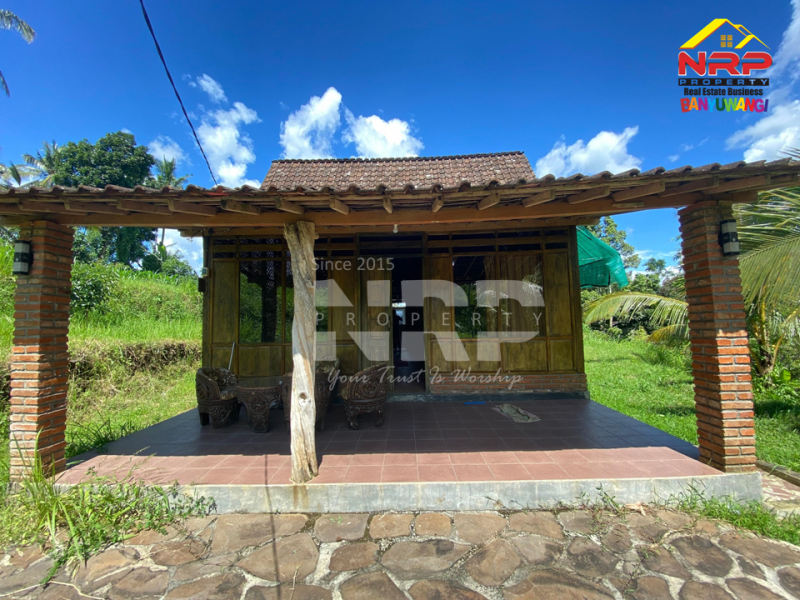 Dijual Tanah Kebun + Sawah Luas di  Licin - Banyuwangi  Dijual Tanah Kebun + Sawah Luas di  Licin - Banyuwangi  Dijual Tanah Kebun + Sawah Luas di&nbsp; Licin - Banyuwangi&nbsp;
Akses Jl. Utama Pakel - Licin. Dapet view sawah terasiring.&nbsp;
Cocok untuk investasi, NRP BANYUWANGI