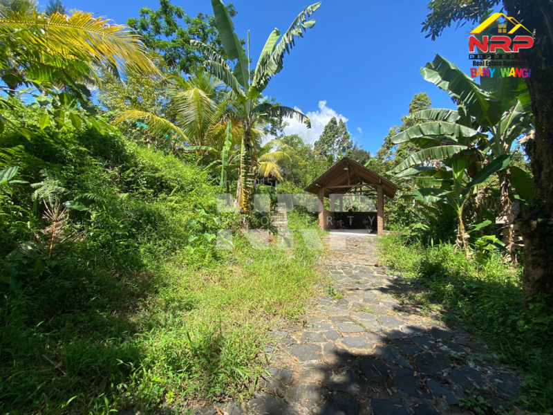 Dijual Tanah Kebun + Sawah Luas di  Licin - Banyuwangi  Dijual Tanah Kebun + Sawah Luas di  Licin - Banyuwangi  Dijual Tanah Kebun + Sawah Luas di&nbsp; Licin - Banyuwangi&nbsp;
Akses Jl. Utama Pakel - Licin. Dapet view sawah terasiring.&nbsp;
Cocok untuk investasi, NRP BANYUWANGI