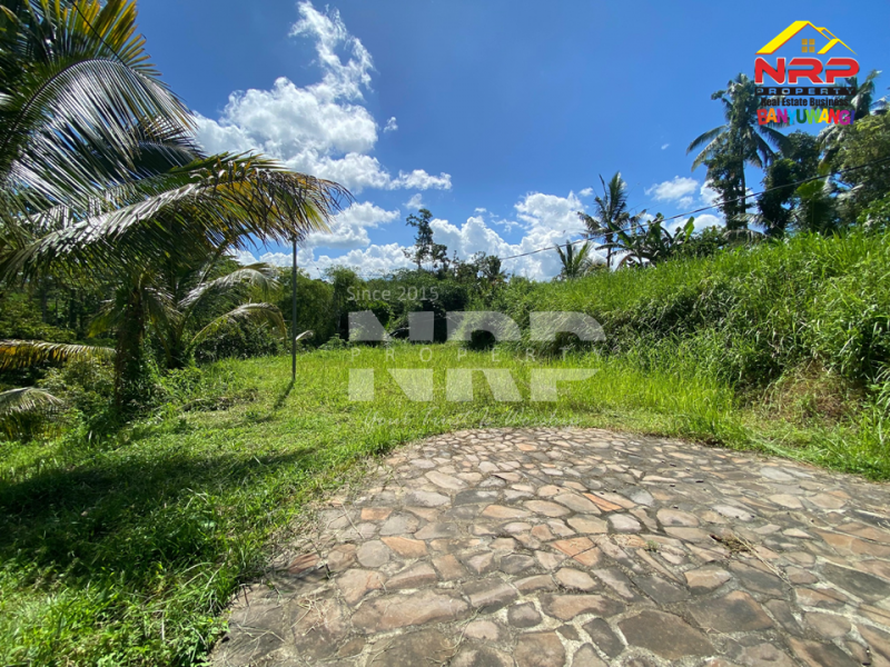 Dijual Tanah Kebun + Sawah Luas di  Licin - Banyuwangi  Dijual Tanah Kebun + Sawah Luas di  Licin - Banyuwangi  Dijual Tanah Kebun + Sawah Luas di&nbsp; Licin - Banyuwangi&nbsp;
Akses Jl. Utama Pakel - Licin. Dapet view sawah terasiring.&nbsp;
Cocok untuk investasi, NRP BANYUWANGI