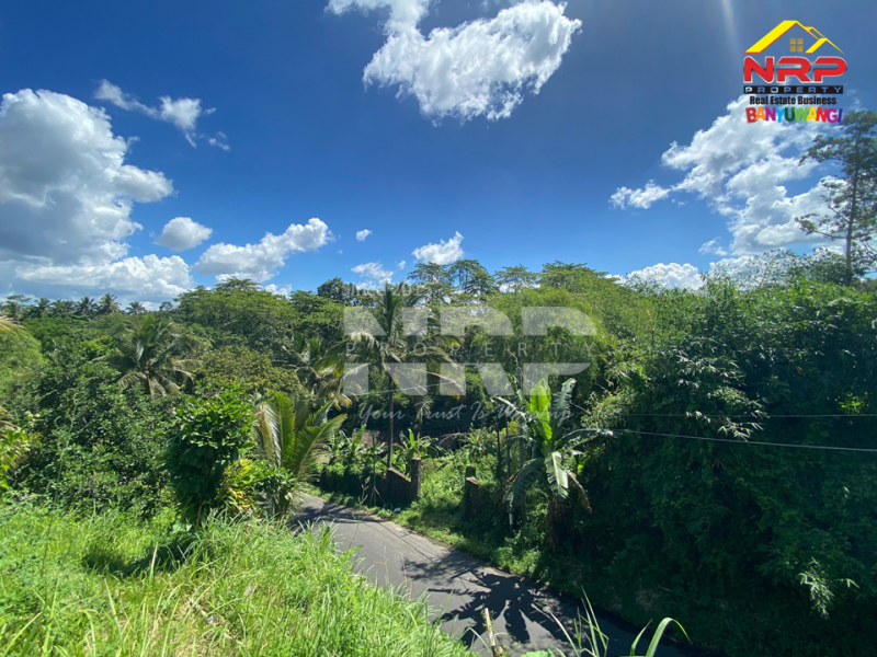 Dijual Tanah Kebun + Sawah Luas di  Licin - Banyuwangi  Dijual Tanah Kebun + Sawah Luas di  Licin - Banyuwangi  Dijual Tanah Kebun + Sawah Luas di&nbsp; Licin - Banyuwangi&nbsp;
Akses Jl. Utama Pakel - Licin. Dapet view sawah terasiring.&nbsp;
Cocok untuk investasi, NRP BANYUWANGI