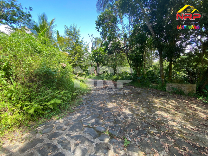 Dijual Tanah Kebun + Sawah Luas di  Licin - Banyuwangi  Dijual Tanah Kebun + Sawah Luas di  Licin - Banyuwangi  Dijual Tanah Kebun + Sawah Luas di&nbsp; Licin - Banyuwangi&nbsp;
Akses Jl. Utama Pakel - Licin. Dapet view sawah terasiring.&nbsp;
Cocok untuk investasi, NRP BANYUWANGI