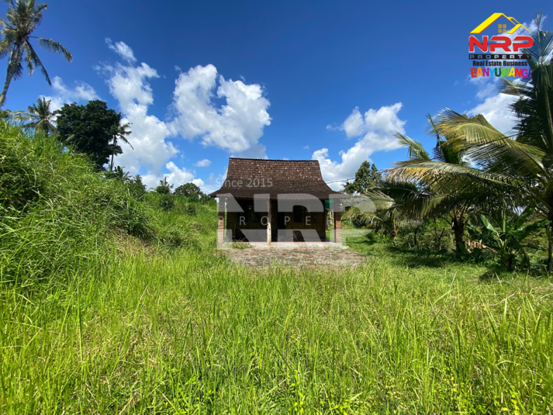 Dijual Tanah Kebun + Sawah Luas di  Licin - Banyuwangi  Dijual Tanah Kebun + Sawah Luas di  Licin - Banyuwangi  Dijual Tanah Kebun + Sawah Luas di&nbsp; Licin - Banyuwangi&nbsp;
Akses Jl. Utama Pakel - Licin. Dapet view sawah terasiring.&nbsp;
Cocok untuk investasi, NRP BANYUWANGI