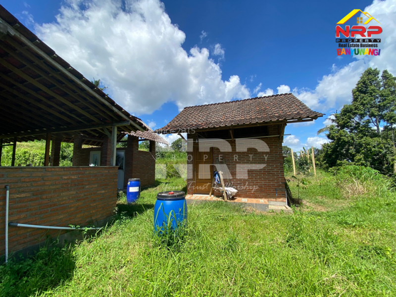 Dijual Tanah Kebun + Sawah Luas di  Licin - Banyuwangi  Dijual Tanah Kebun + Sawah Luas di  Licin - Banyuwangi  Dijual Tanah Kebun + Sawah Luas di&nbsp; Licin - Banyuwangi&nbsp;
Akses Jl. Utama Pakel - Licin. Dapet view sawah terasiring.&nbsp;
Cocok untuk investasi, NRP BANYUWANGI