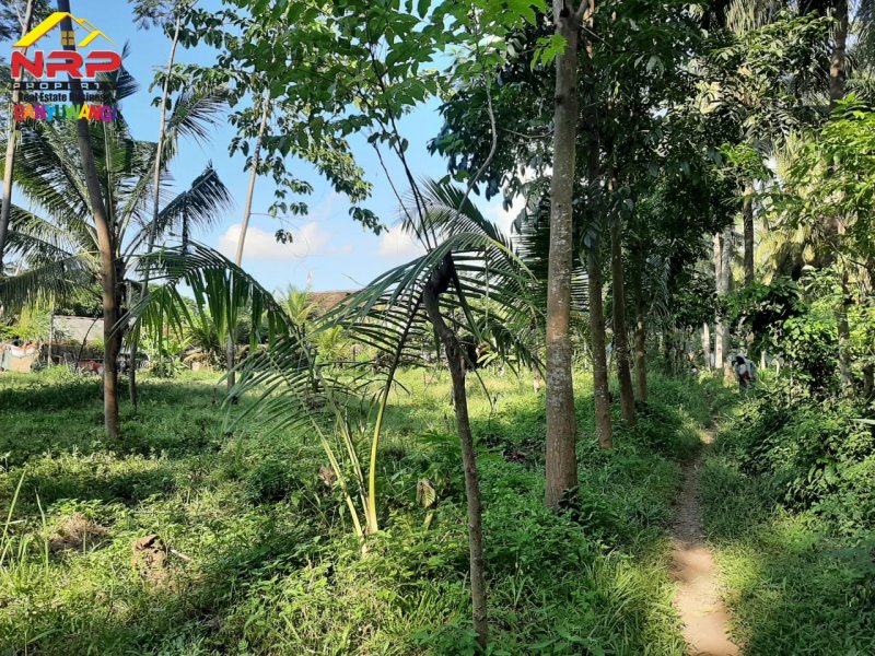 Dijual Tanah Kebun Strategis 20 Meter Jl. Lingkar Ketapang - Banyuwangi Dijual Tanah Kebun Strategis 20 Meter Jl. Lingkar Ketapang - Banyuwangi Dijual Tanah Kebun Strategis 20 Meter Jl. Lingkar Ketapang - Banyuwangi
Lokasi Stratregis dekat AKABA Cocok Untuk Kos - Kosan

Luas Tanah : 2.600 m2 NRP BANYUWANGI