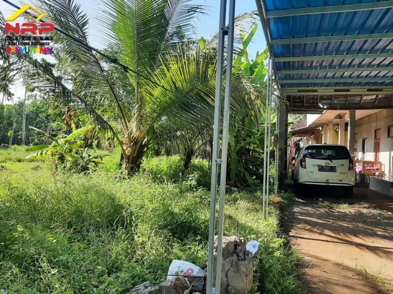 Dijual Tanah Kebun Strategis 20 Meter Jl. Lingkar Ketapang - Banyuwangi Dijual Tanah Kebun Strategis 20 Meter Jl. Lingkar Ketapang - Banyuwangi Dijual Tanah Kebun Strategis 20 Meter Jl. Lingkar Ketapang - Banyuwangi
Lokasi Stratregis dekat AKABA Cocok Untuk Kos - Kosan

Luas Tanah : 2.600 m2 NRP BANYUWANGI