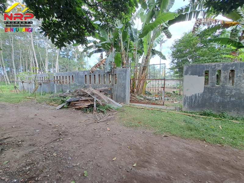 Dijual Tanah Kering 100 Meter dari Black Sand Beach Cacalan - Banyuwangi  Dijual Tanah Kering 100 Meter dari Black Sand Beach Cacalan - Banyuwangi  Dijual Tanah Kering 100 Meter dari Black Sand Beach Cacalan - Banyuwangi&nbsp;
Dekat dengan kawasan bisnis dan perhotelan . Cocok untuk hunian, villa NRP BANYUWANGI