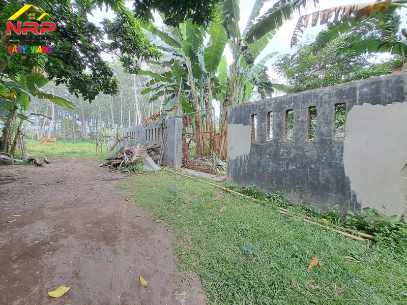 Dijual Tanah Kering 100 Meter dari Black Sand Beach Cacalan - Banyuwangi  Dijual Tanah Kering 100 Meter dari Black Sand Beach Cacalan - Banyuwangi  Dijual Tanah Kering 100 Meter dari Black Sand Beach Cacalan - Banyuwangi&nbsp;
Dekat dengan kawasan bisnis dan perhotelan . Cocok untuk hunian, villa NRP BANYUWANGI