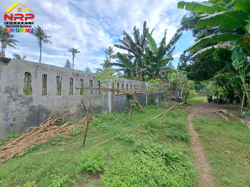 Dijual Tanah Kering 100 Meter dari Black Sand Beach Cacalan - Banyuwangi  Dijual Tanah Kering 100 Meter dari Black Sand Beach Cacalan - Banyuwangi  Dijual Tanah Kering 100 Meter dari Black Sand Beach Cacalan - Banyuwangi&nbsp;
Dekat dengan kawasan bisnis dan perhotelan . Cocok untuk hunian, villa NRP BANYUWANGI