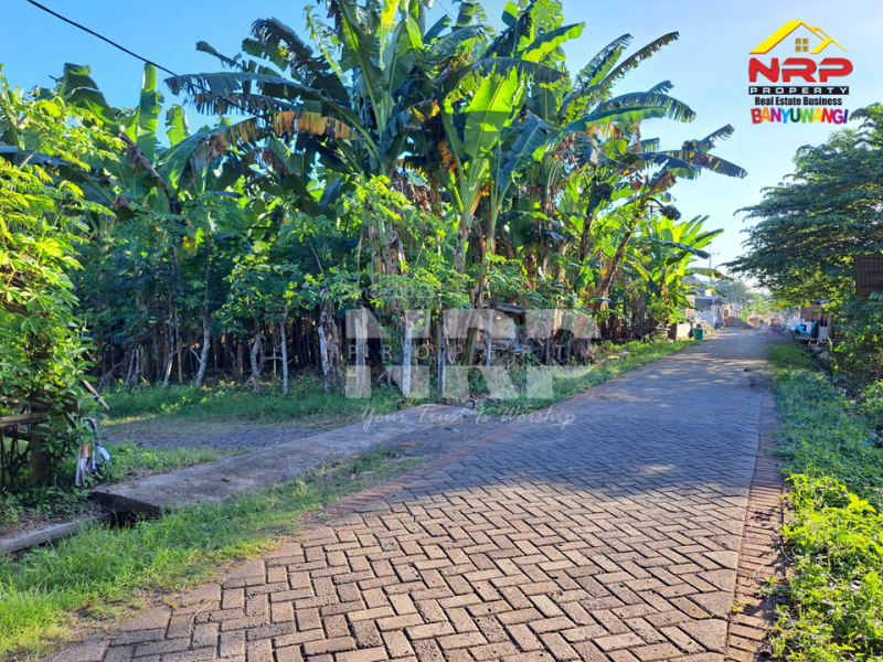 Dijual Tanah Kering 500 Meter dari Jl. Desa Sukojati - Banyuwangi  Dijual Tanah Kering 500 Meter dari Jl. Desa Sukojati - Banyuwangi  Dijual Tanah Kering 500 Meter dari Jl. Desa Sukojati - Banyuwangi&nbsp;
Cocok untuk pembukaan kawasan perumahan baru, Gudang dll.&nbsp;

Luas Tanah +/- NRP BANYUWANGI
