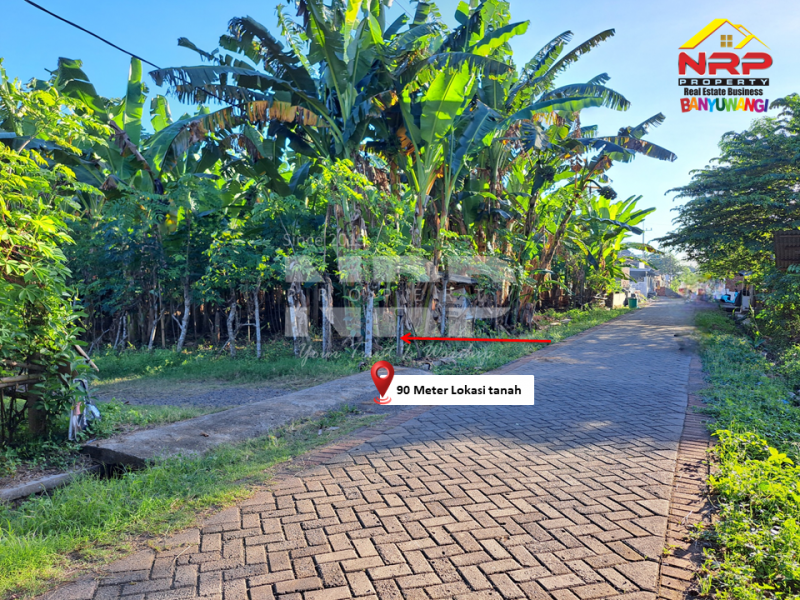 Dijual Tanah Kering 500 Meter dari Jl. Desa Sukojati - Banyuwangi  Dijual Tanah Kering 500 Meter dari Jl. Desa Sukojati - Banyuwangi  Dijual Tanah Kering 500 Meter dari Jl. Desa Sukojati - Banyuwangi&nbsp;
Cocok untuk pembukaan kawasan perumahan baru, Gudang dll.&nbsp;

Luas Tanah +/- NRP BANYUWANGI