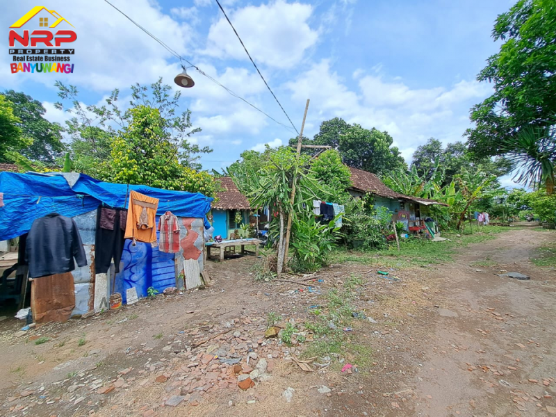 Dijual Tanah Kering Akses 50 Meter dari Jl. Kepiting - Banyuwangi  Dijual Tanah Kering Akses 50 Meter dari Jl. Kepiting - Banyuwangi  Dijual Tanah Kering Akses 50 Meter dari Jl. Kepiting - Banyuwangi&nbsp;
Cocok Untuk Cluster Perumahan dll&nbsp;

Luas Tanah 3.500&nbsp;M2
Legalitas AJB NRP BANYUWANGI