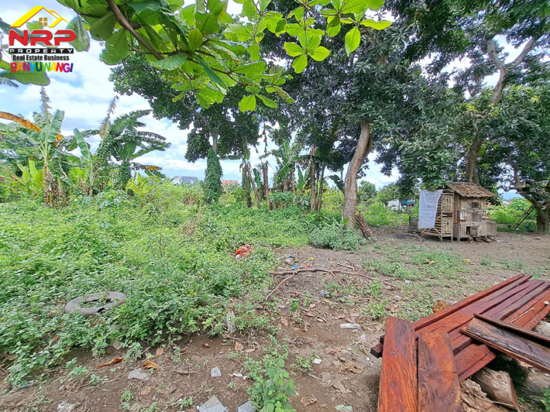 Dijual Tanah Kering Akses 50 Meter dari Jl. Kepiting - Banyuwangi  Dijual Tanah Kering Akses 50 Meter dari Jl. Kepiting - Banyuwangi  Dijual Tanah Kering Akses 50 Meter dari Jl. Kepiting - Banyuwangi&nbsp;
Cocok Untuk Cluster Perumahan dll&nbsp;

Luas Tanah 3.500&nbsp;M2
Legalitas AJB NRP BANYUWANGI