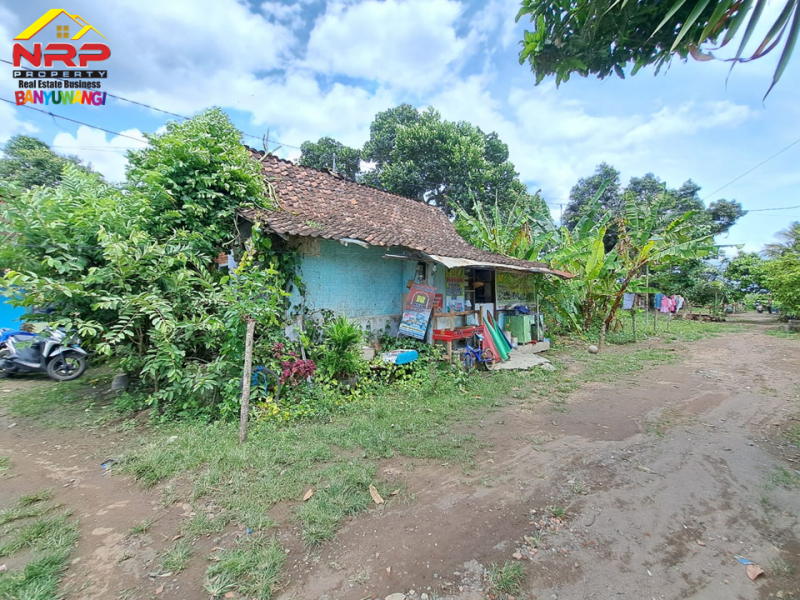 Dijual Tanah Kering Akses 50 Meter dari Jl. Kepiting - Banyuwangi  Dijual Tanah Kering Akses 50 Meter dari Jl. Kepiting - Banyuwangi  Dijual Tanah Kering Akses 50 Meter dari Jl. Kepiting - Banyuwangi&nbsp;
Cocok Untuk Cluster Perumahan dll&nbsp;

Luas Tanah 3.500&nbsp;M2
Legalitas AJB NRP BANYUWANGI