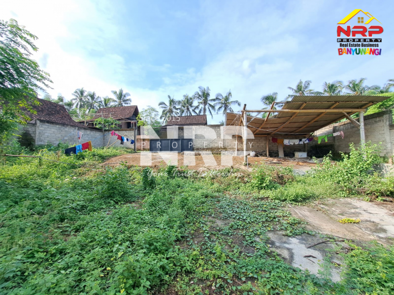 Dijual Tanah Kering di Daerah Pedesaan Glagah, Banyuwangi  Dijual Tanah Kering di Daerah Pedesaan Glagah, Banyuwangi  Dijual Tanah Kering di Daerah Pedesaan Glagah, Banyuwangi&nbsp;
View sawah , Belakang warung puthuk jambean Banyuwangi&nbsp;
Cocok untuk hunian, homestay, NRP BANYUWANGI