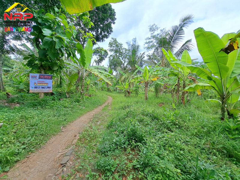 Dijual Tanah Kering di tepi Jl. Pendarungan - Banyuwangi  Dijual Tanah Kering di tepi Jl. Pendarungan - Banyuwangi  Dijual Tanah Kering di tepi Jl. Pendarungan - Banyuwangi&nbsp;
Cocok untuk area perkebunan atau investasi jangka panjang.&nbsp;

Luas Tanah : 19.850 NRP BANYUWANGI