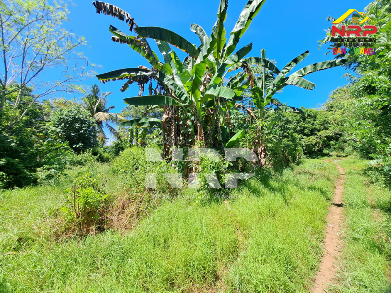 Dijual Tanah Kering Murah 100 jutaan di Bulusan - Banyuwangi Dijual Tanah Kering Murah 100 jutaan di Bulusan - Banyuwangi Dijual Tanah Kering Murah di Bulusan - Banyuwangi
Dekat dengan perkampungan penduduk, 4 menit dari Jl. Raya Gatot Subroto&nbsp;

Luas Tanah 300 NRP BANYUWANGI