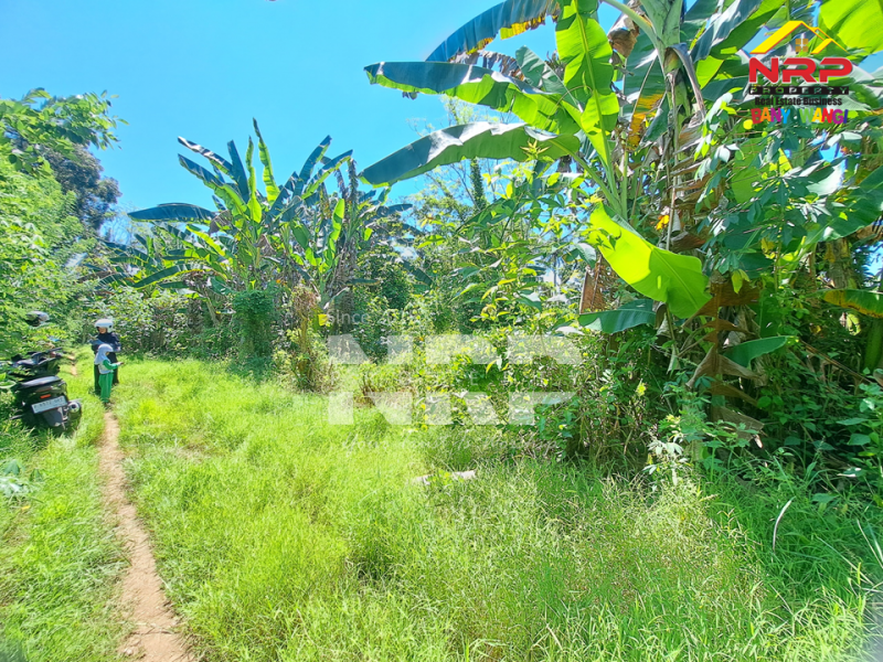 Dijual Tanah Kering Murah 100 jutaan di Bulusan - Banyuwangi Dijual Tanah Kering Murah 100 jutaan di Bulusan - Banyuwangi Dijual Tanah Kering Murah di Bulusan - Banyuwangi
Dekat dengan perkampungan penduduk, 4 menit dari Jl. Raya Gatot Subroto&nbsp;

Luas Tanah 300 NRP BANYUWANGI