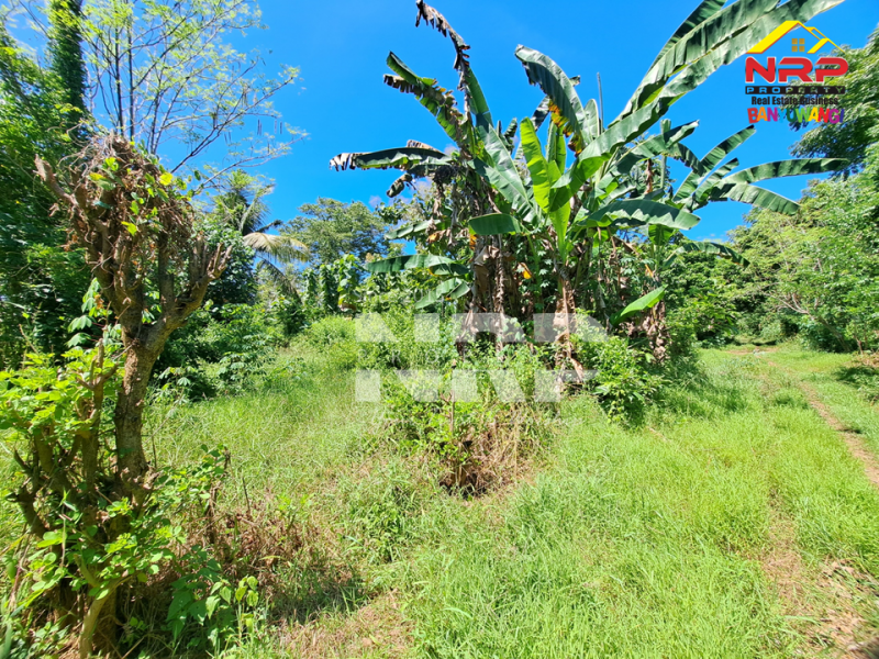 Dijual Tanah Kering Murah 100 jutaan di Bulusan - Banyuwangi Dijual Tanah Kering Murah 100 jutaan di Bulusan - Banyuwangi Dijual Tanah Kering Murah di Bulusan - Banyuwangi
Dekat dengan perkampungan penduduk, 4 menit dari Jl. Raya Gatot Subroto&nbsp;

Luas Tanah 300 NRP BANYUWANGI