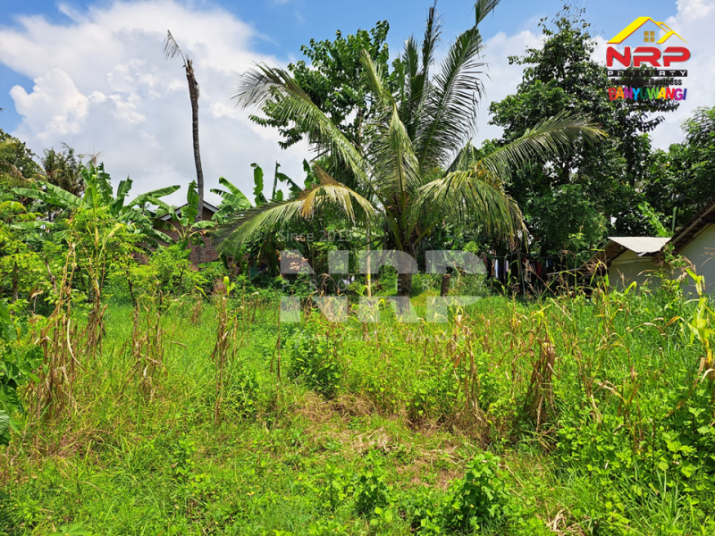 Dijual Tanah Kering Murah di Bulusan - Banyuwangi Dijual Tanah Kering Murah di Bulusan - Banyuwangi Dijual Tanah Kering Murah di Bulusan - Banyuwangi
Dekat dengan Perum. Sonas Bulusan Banyuwangi&nbsp;

Luas Tanah 146 NRP BANYUWANGI