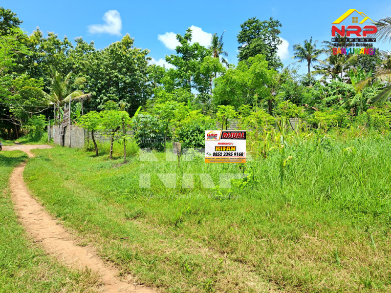 Dijual Tanah Kering Murah di Bulusan - Banyuwangi Dijual Tanah Kering Murah di Bulusan - Banyuwangi Dijual Tanah Kering Murah di Bulusan - Banyuwangi
Dekat dengan Perum. Sonas Bulusan Banyuwangi&nbsp;

Luas Tanah 146 NRP BANYUWANGI