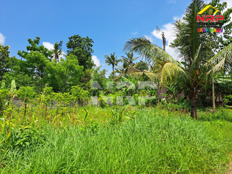 Dijual Tanah Kering Murah di Bulusan - Banyuwangi Dijual Tanah Kering Murah di Bulusan - Banyuwangi Dijual Tanah Kering Murah di Bulusan - Banyuwangi
Dekat dengan Perum. Sonas Bulusan Banyuwangi&nbsp;

Luas Tanah 146 NRP BANYUWANGI