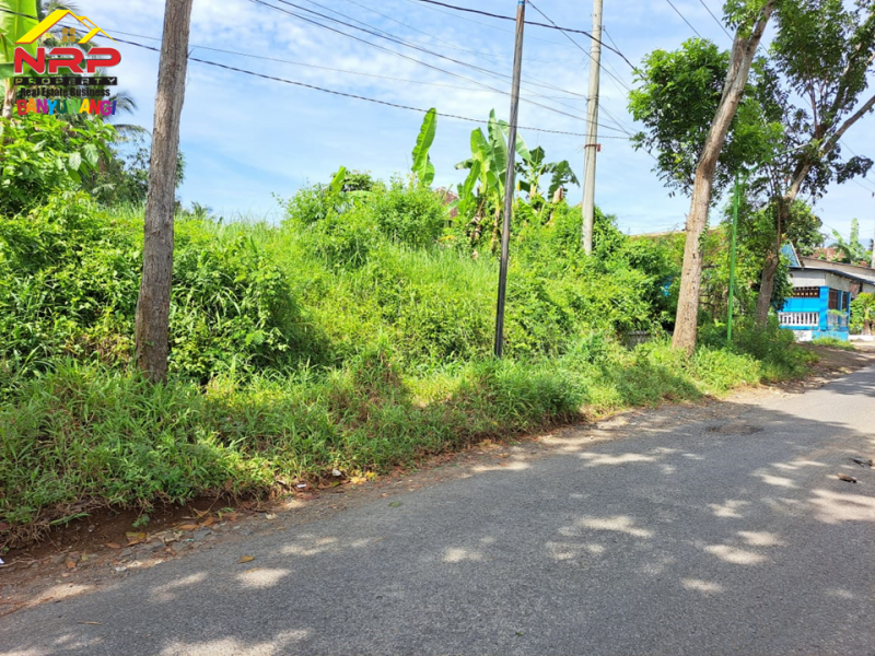 Dijual Tanah Kering Murah di Jl. Tambong - Kabat  Dijual Tanah Kering Murah di Jl. Tambong - Kabat  Dijual Tanah Kering Murah di Jl. Tambong - Kabat&nbsp;
Akses Jln Raya Jember - Banyuwangi.&nbsp;
Cocok untuk kawasan perumahan atau investasi jangka NRP BANYUWANGI