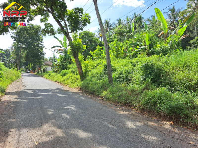 Dijual Tanah Kering Murah di Jl. Tambong - Kabat  Dijual Tanah Kering Murah di Jl. Tambong - Kabat  Dijual Tanah Kering Murah di Jl. Tambong - Kabat&nbsp;
Akses Jln Raya Jember - Banyuwangi.&nbsp;
Cocok untuk kawasan perumahan atau investasi jangka NRP BANYUWANGI