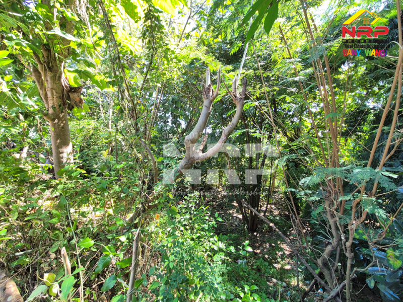 Dijual Tanah Kering Murah di Klatak - Banyuwangi  Dijual Tanah Kering Murah di Klatak - Banyuwangi  Dijual Tanah Kering Murah di Klatak - Banyuwangi&nbsp;
Berada dikawasan Perumahan, Dekat dengan SPBU Klatak.&nbsp;

Luas Tanah 1.375 NRP BANYUWANGI