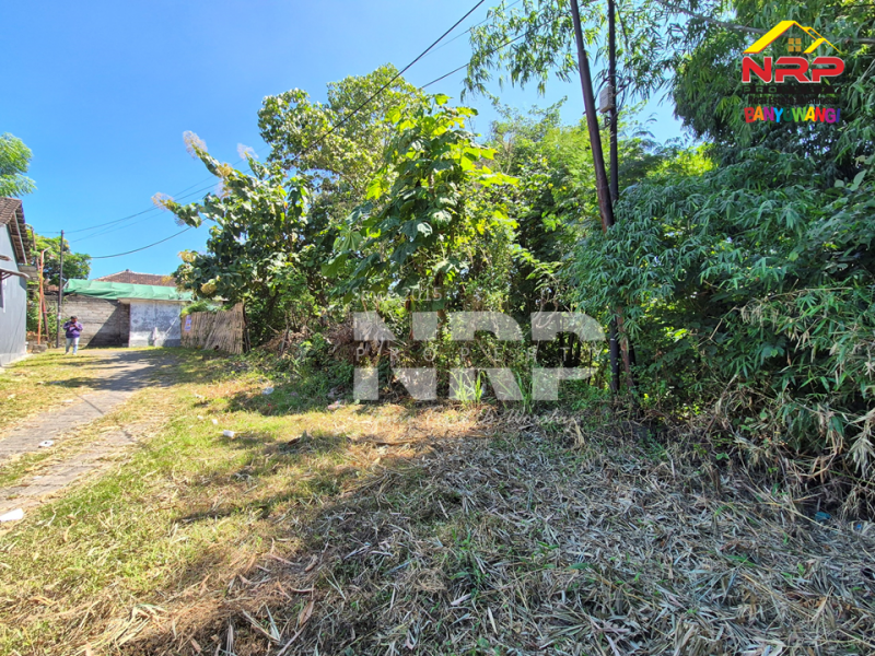 Dijual Tanah Kering Murah di Klatak - Banyuwangi  Dijual Tanah Kering Murah di Klatak - Banyuwangi  Dijual Tanah Kering Murah di Klatak - Banyuwangi&nbsp;
Berada dikawasan Perumahan, Dekat dengan SPBU Klatak.&nbsp;

Luas Tanah 1.375 NRP BANYUWANGI